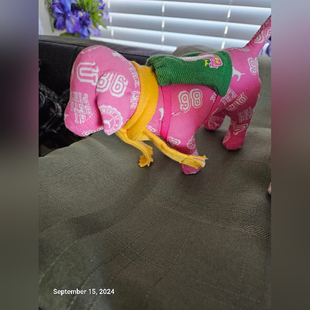 Victoria Secret Dogs - Picture 2 of 5